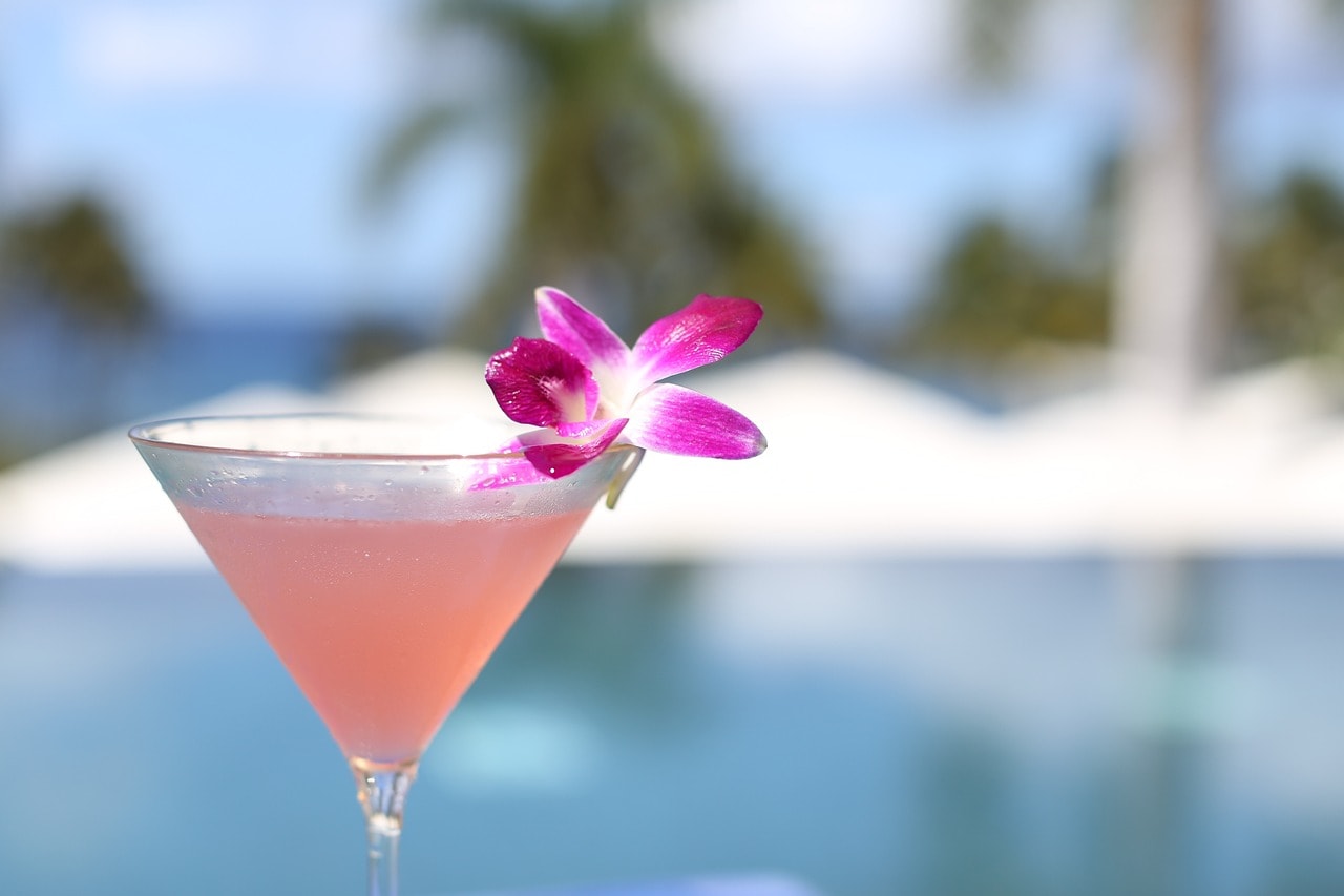 Enjoy Beachfront Dining with a View of the Ocean