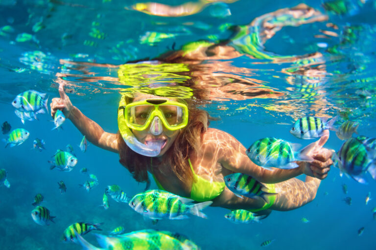 Best Snorkeling Tours