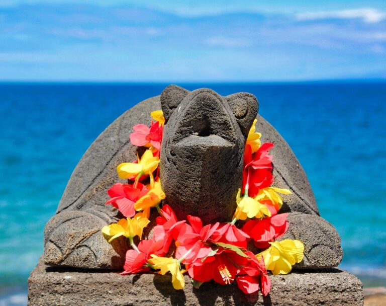 You Wont Believe What Na Hoku Meansan Ancient Hawaiian Star You Need To Know