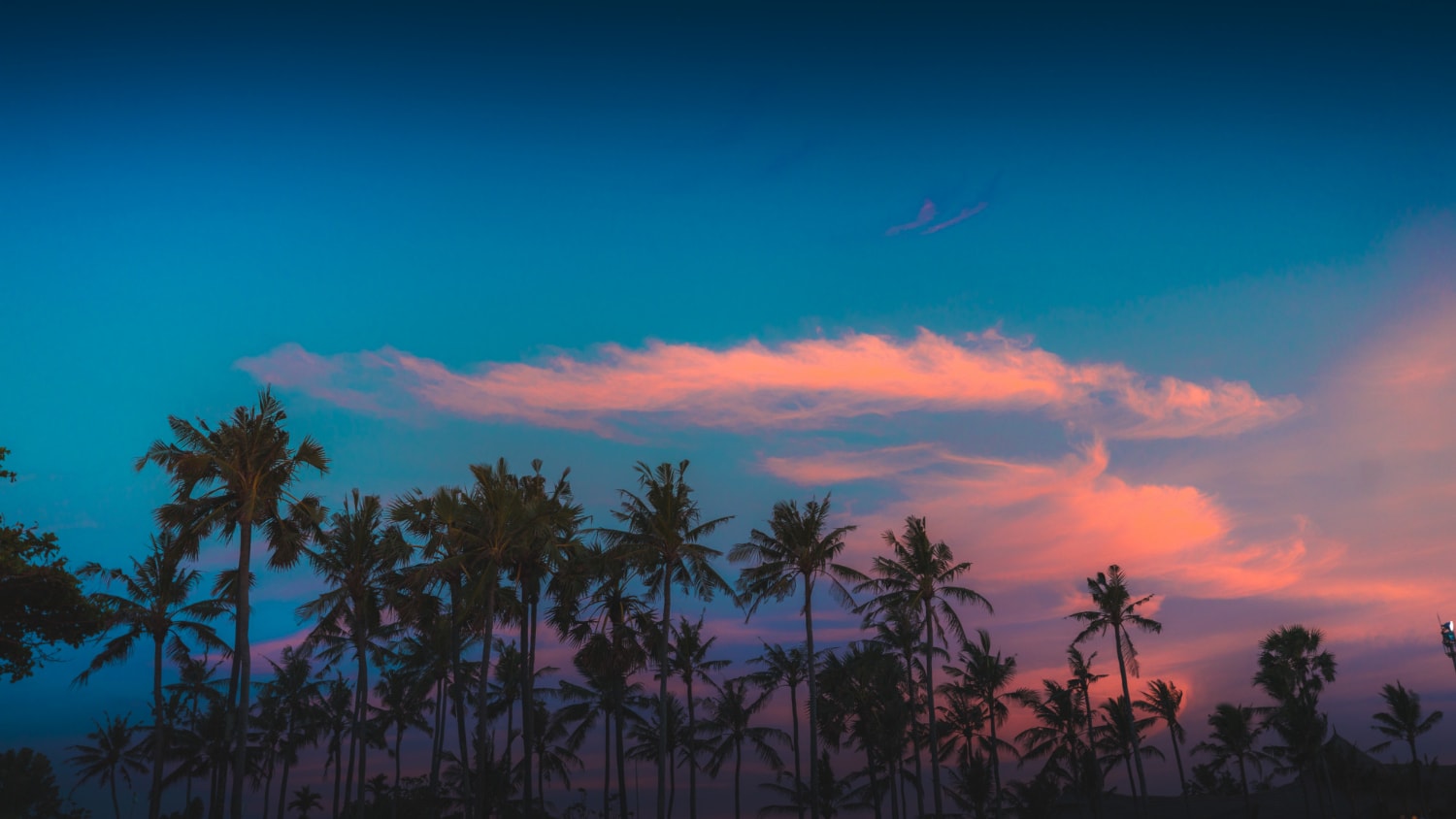 What To Do At Night In Waikiki